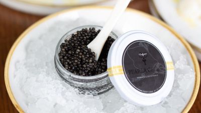 Kaviár jako nedosažitelná pochoutka? Z omylu vás vyvede Prague Caviar Week