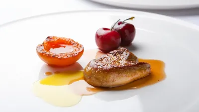 Foie Gras from the lab can solve an ethical problem