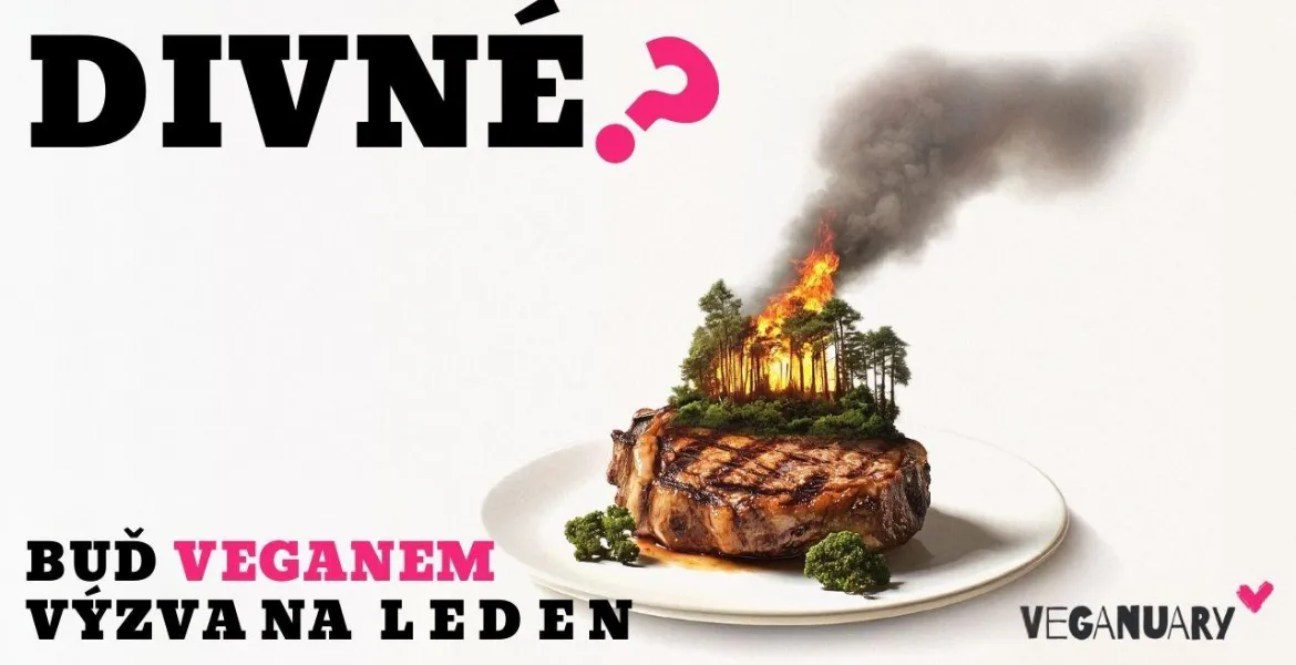 To maso vypadá fakt divně. | Foto: se svolením Veganuary
