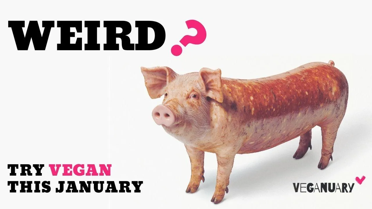 That meat looks really weird - Veganuary campaign challenges the established (dis)order 