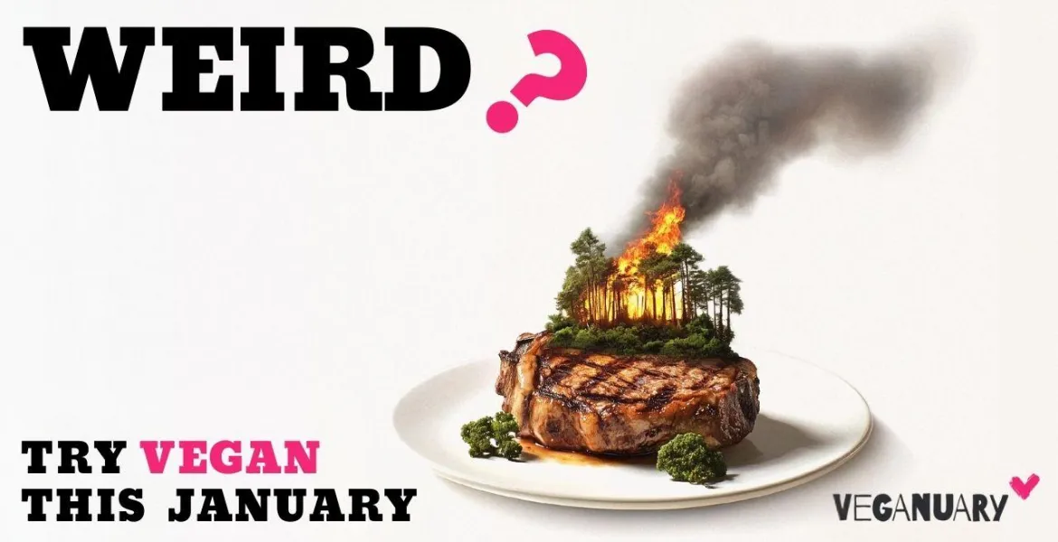 That meat looks really weird. | Photo: courtesy of Veganuary