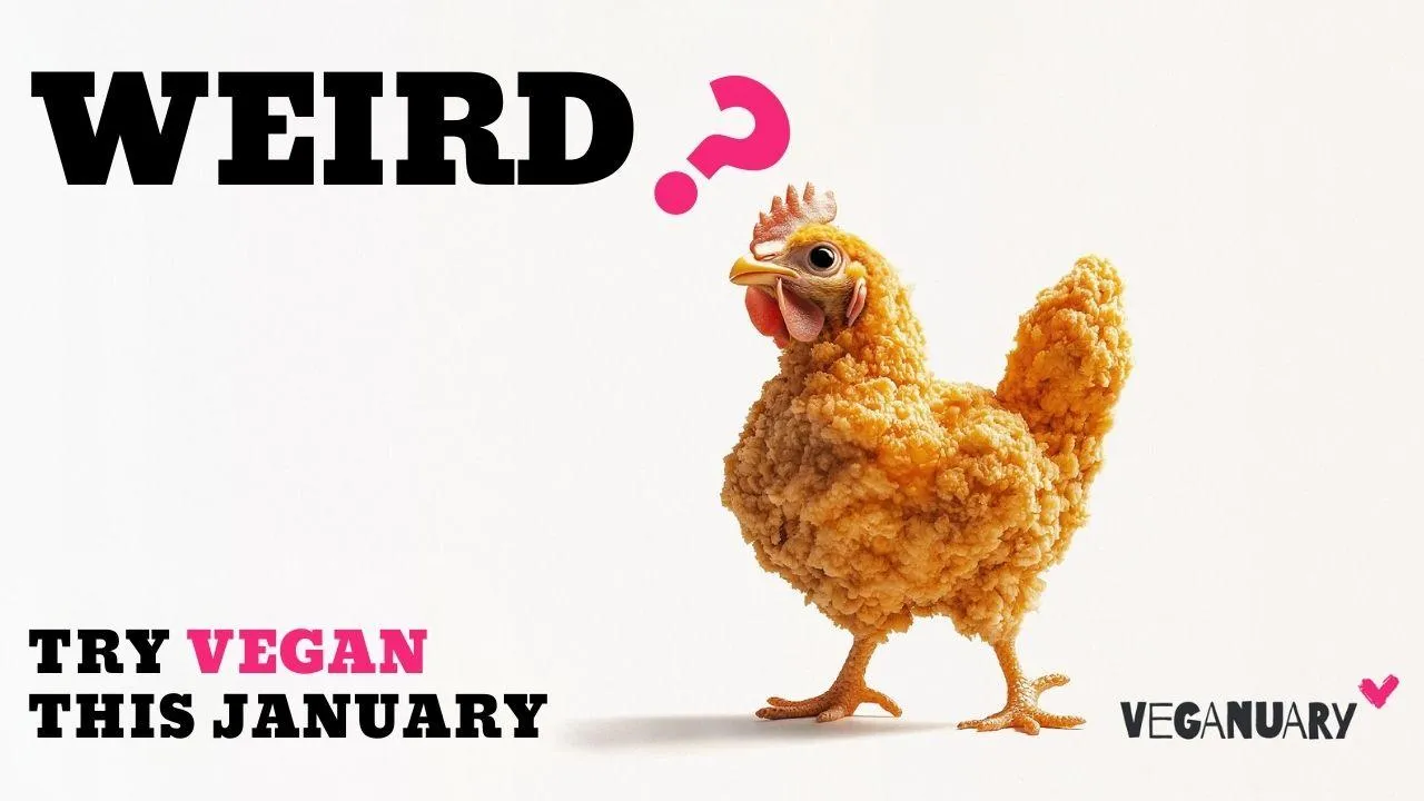 That meat looks really weird - Veganuary campaign challenges the established (dis)order 