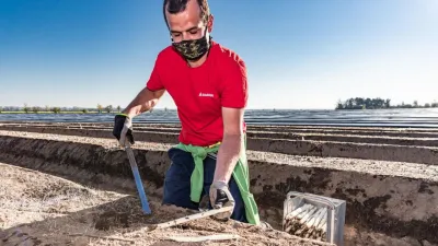 Ovoce a zelenina - základ dobré imunity