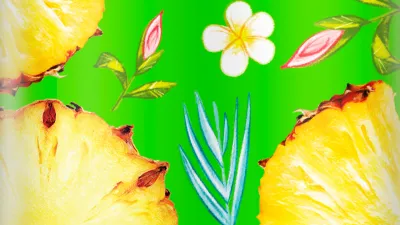 Podmanivé chutě pro tropické léto