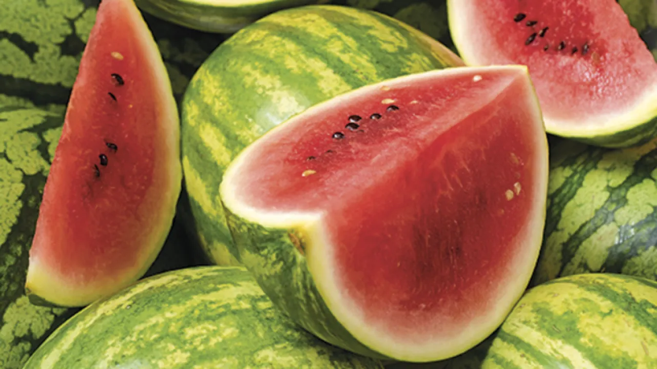 Jaké pozitivní účinky mají vodní melouny na zdraví?