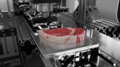 Společnost MeaTech 3D si chce v USA nechat patentovat novou metodu biotisku kultivovaného masa
