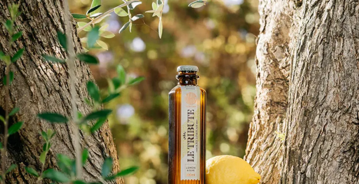 Hořký a osvěžující tonic. Le Tribute hlásí novinku a upozorňuje na svoje nealko portfolio. | Foto: se svolením Premier Wines & Spirits