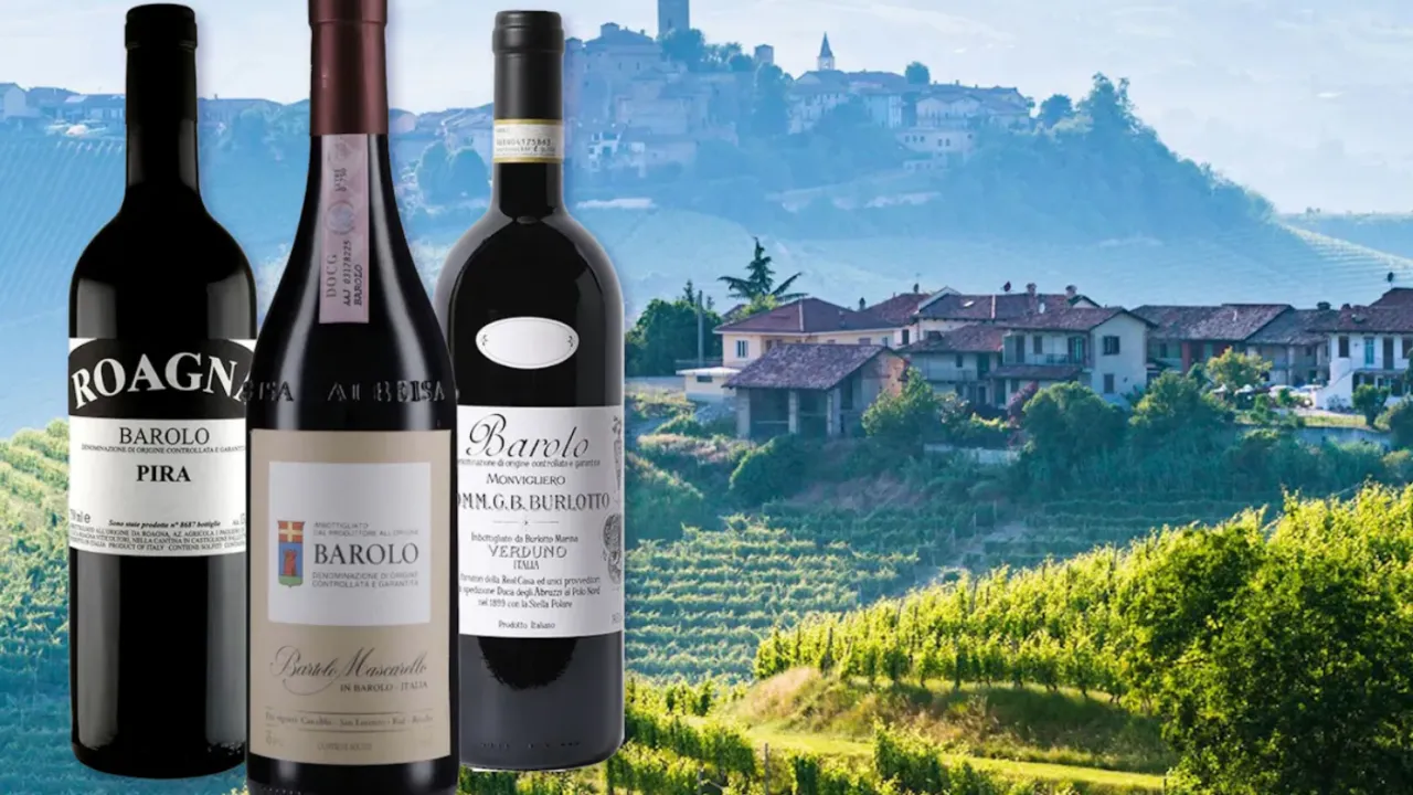 Degustace Barolo Piemont v restauraci Monarch
