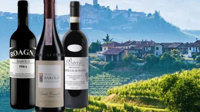 Degustace Barolo Piemont v restauraci Monarch