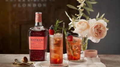 Hayman’s Sloe Gin získal na prestižní soutěži The Gin Masters zlatou medaili