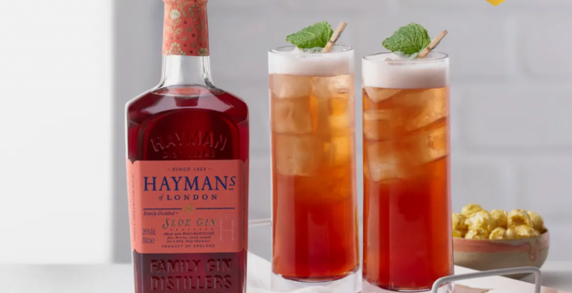Hayman’s Sloe Gin získal na prestižní soutěži The Gin Masters zlatou medaili. | Foto: se svolením Premier Wines & Spirits