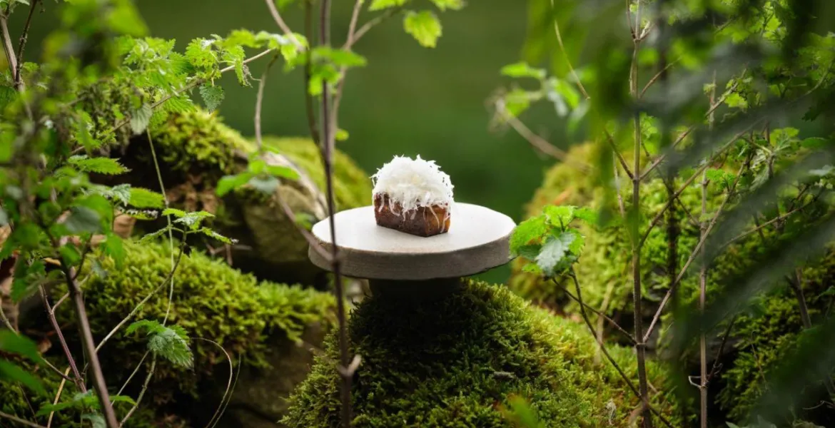 Jeden ze slavných farm‑to‑plate pokrmů Simona Rogana v tříhvězdičkové restauraci L’Enclume. |  Cristian Barnett/L'Enclume