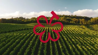 Michelin má nové „hrozny“. Nové ocenění míří na svět vína a může změnit způsob, jakým budeme hledat nejlepší vinaře