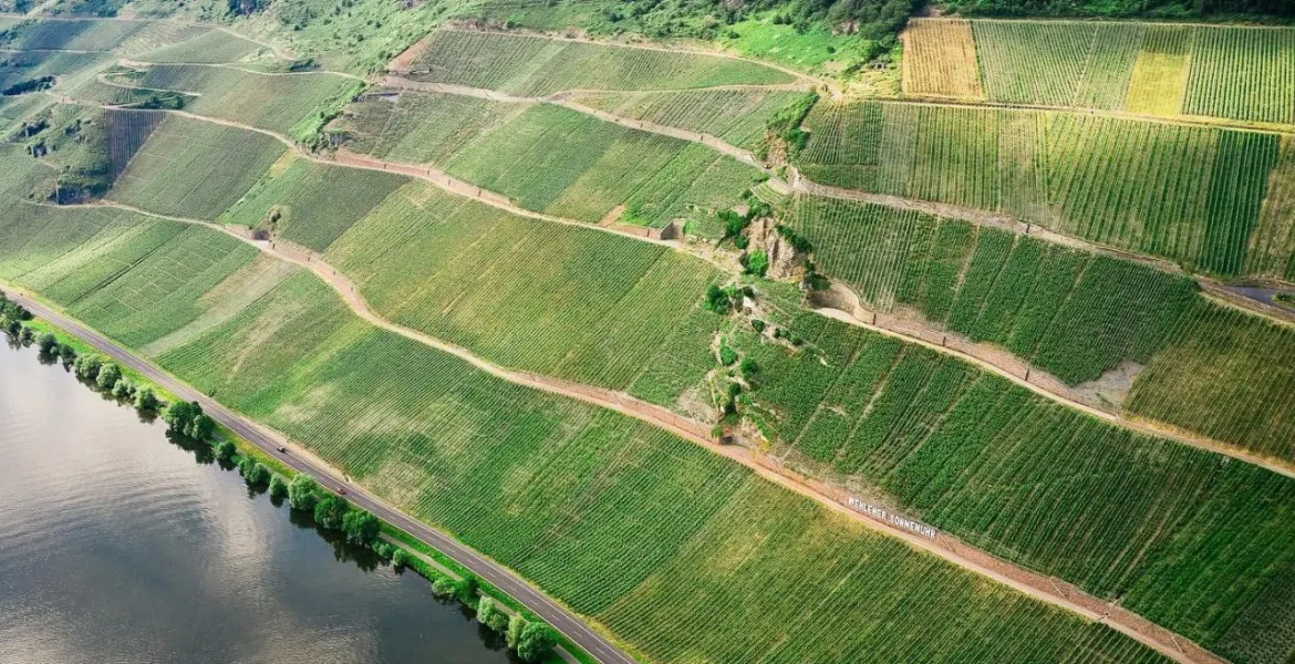 Respekt k přírodě a nekonečná rozmanitost. | Foto: Weingut Markus Molitor