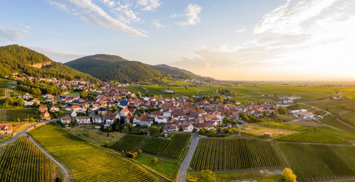 Vinařství se nachází ve německém regionu Pfalz. | Foto: se svolením Premier Wines & Spirits