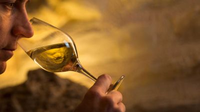 Chablis trip: Přesné víno. Jak ve vinařství Louis Michel & Fils tvoří vinné skvosty?