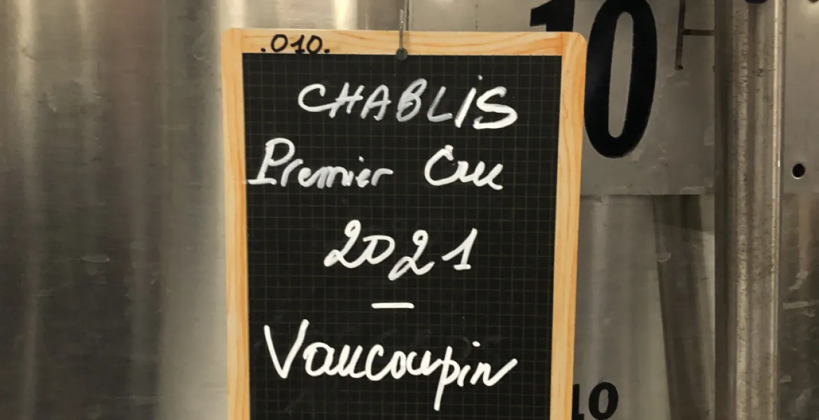 Na vinicích Chablis | Foto: VisitChef.com