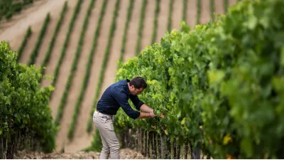 Tenuta Perano: Toskánské srdce Chianti Classico a mnohem více