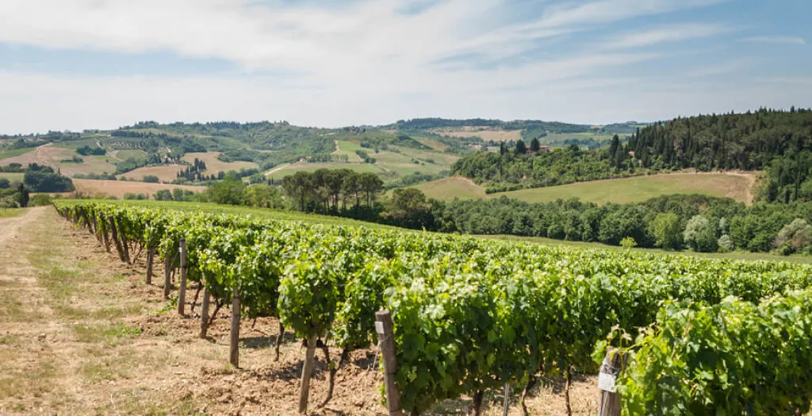 Tenuta Castiglioni: Místo, odkud pochází slavná toskánská vína | Foto: se svolením Premier Wines & Spirits