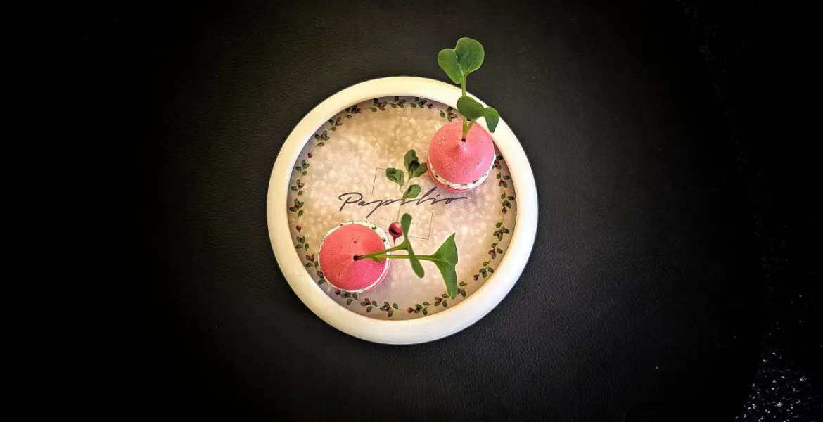 Amuse Bouche: ředvička - tvaroh - pažitková emulze | Foto: VisitChef.com
