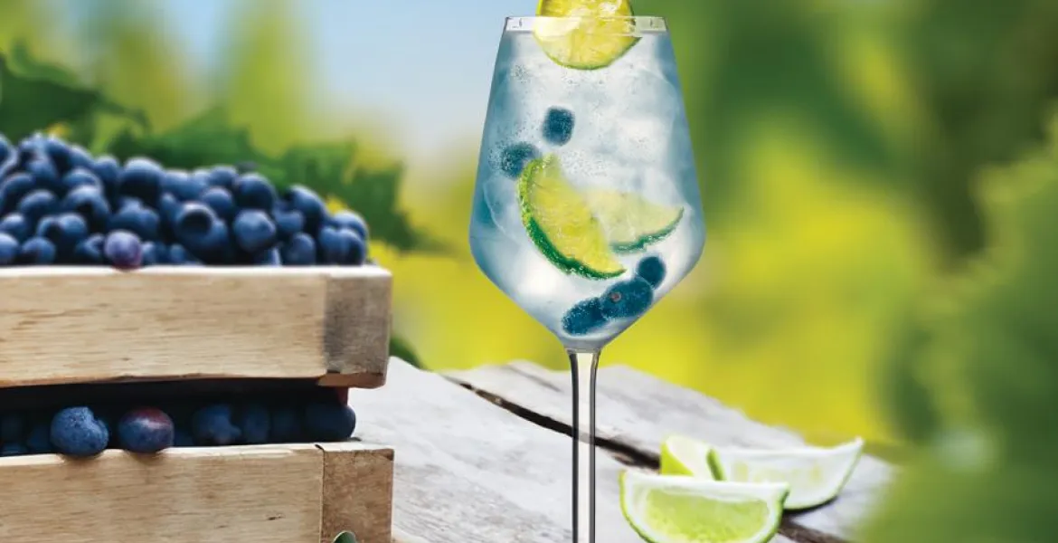 Blueberry Gin Tonic | Foto: se svolením Premier Wines & Spirits