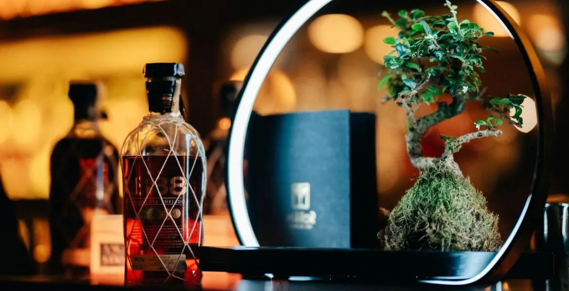 Nezapomenutelná noc v Týnské. | Foto: se svolením Coca-Cola HBC Česko a Slovensko