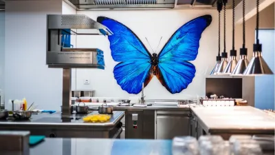 Papilio vyrostlo a roste dál. Zimní menu je přehlídkou kuchařského umění Jana Knedly