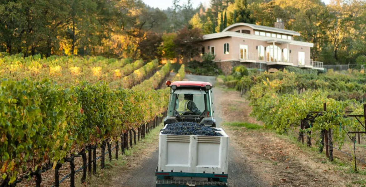 Napa Valley: Laboratoř největších vín Ameriky. | Foto: se svolením vinařství Kinsman Eades, Diamond Creek, Dalla Valle