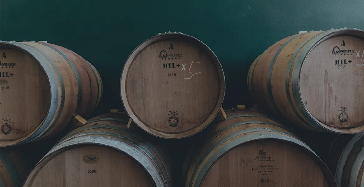 Vína Chianti s přesností Burgundska. Jak Tenuta di Carleone přepisuje pravidla apelace. I Foto: se svolením Tenuta di Carleone a Premier Wines & Spirits