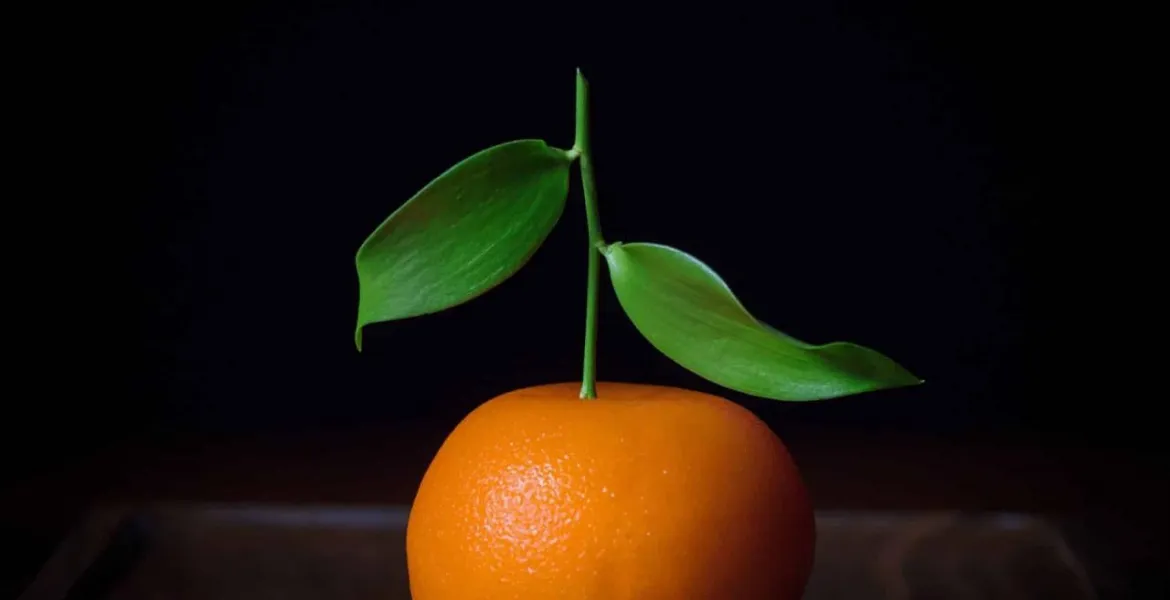 Meat Fruit - jeden ze zásadních pokrmů, který vynesl restauraci do gastronomických nebes. | Foto: se svolením Dinner by Heston Blumenthal