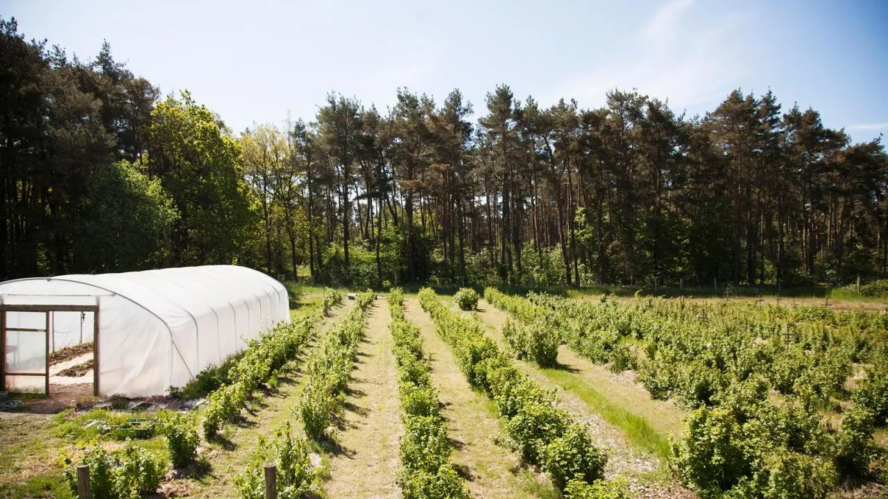 Kadeau has been awarded its third Michelin star. It is a triumph of terroir in an era of gastronomic spectacle