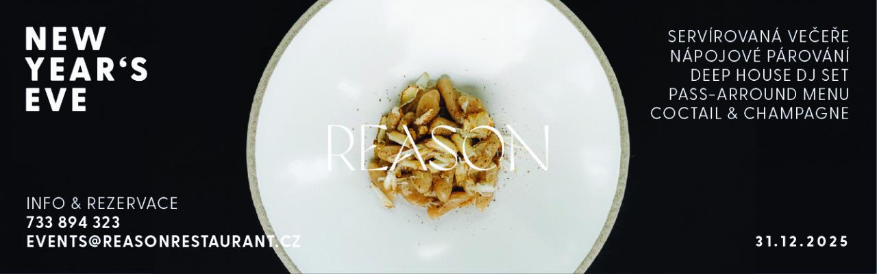 REASON_SILVESTR_12_2025_2