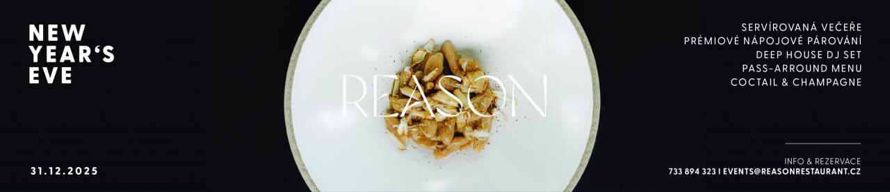 REASON_SILVESTR_12_2025_1