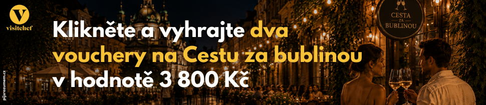 CESTA_ZA_BUBLINOU_970_210_BANNER_CZ